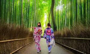 Journey into the Mysterious Arashiyama Bamboo Forest