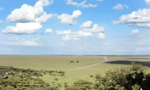 Національний парк Серенгеті