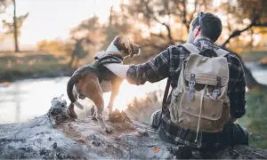 Take Your Four-Legged Friend on a Journey