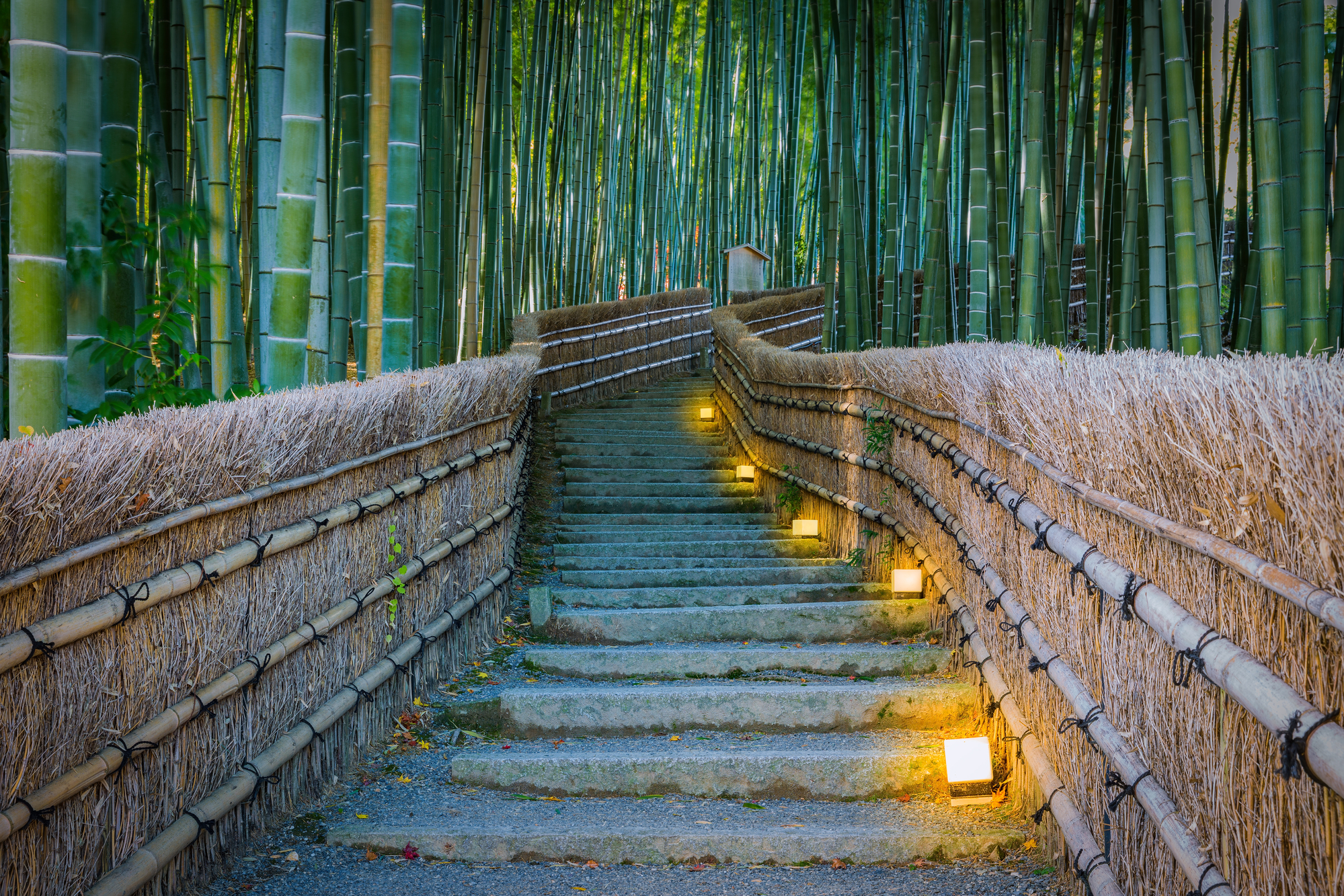 Культурное значение бамбука в Японии