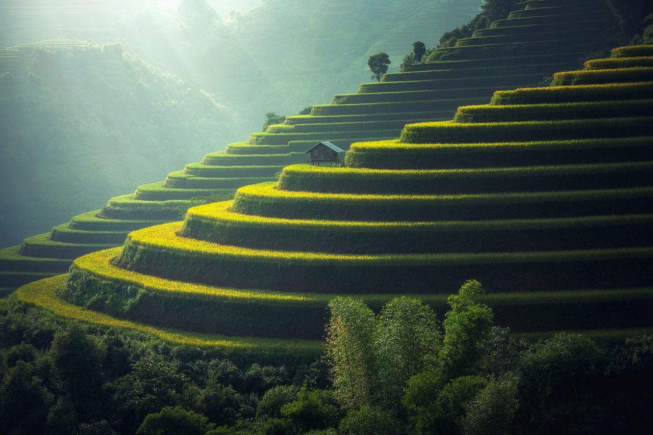 Jatiluwih Rice Terraces: Bali's Green Treasures