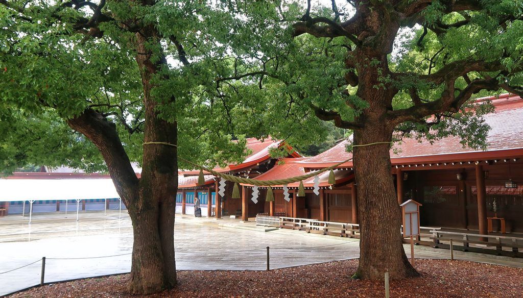 Храм Мэйдзи-дзингу и Ёёги Коэн
